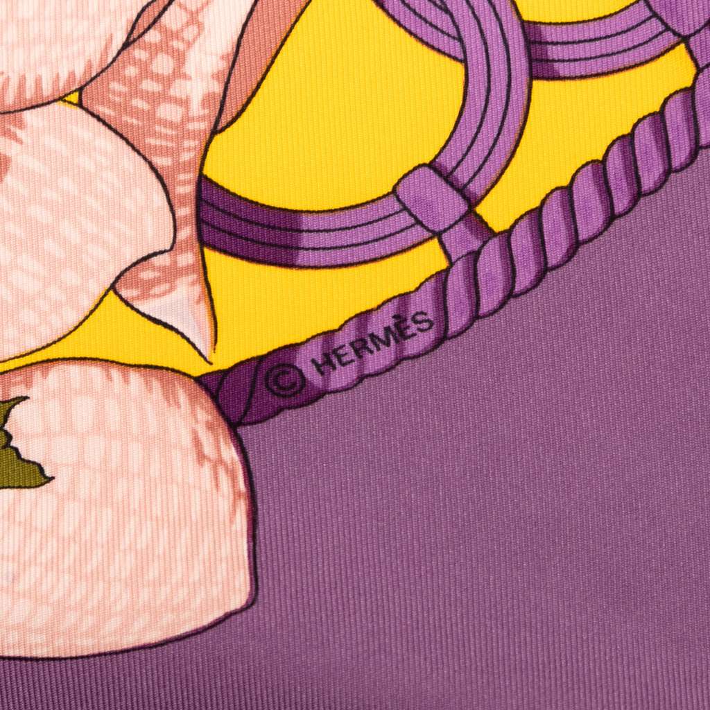 Hermès Souvenirs d Asie Silk Scarf - 5