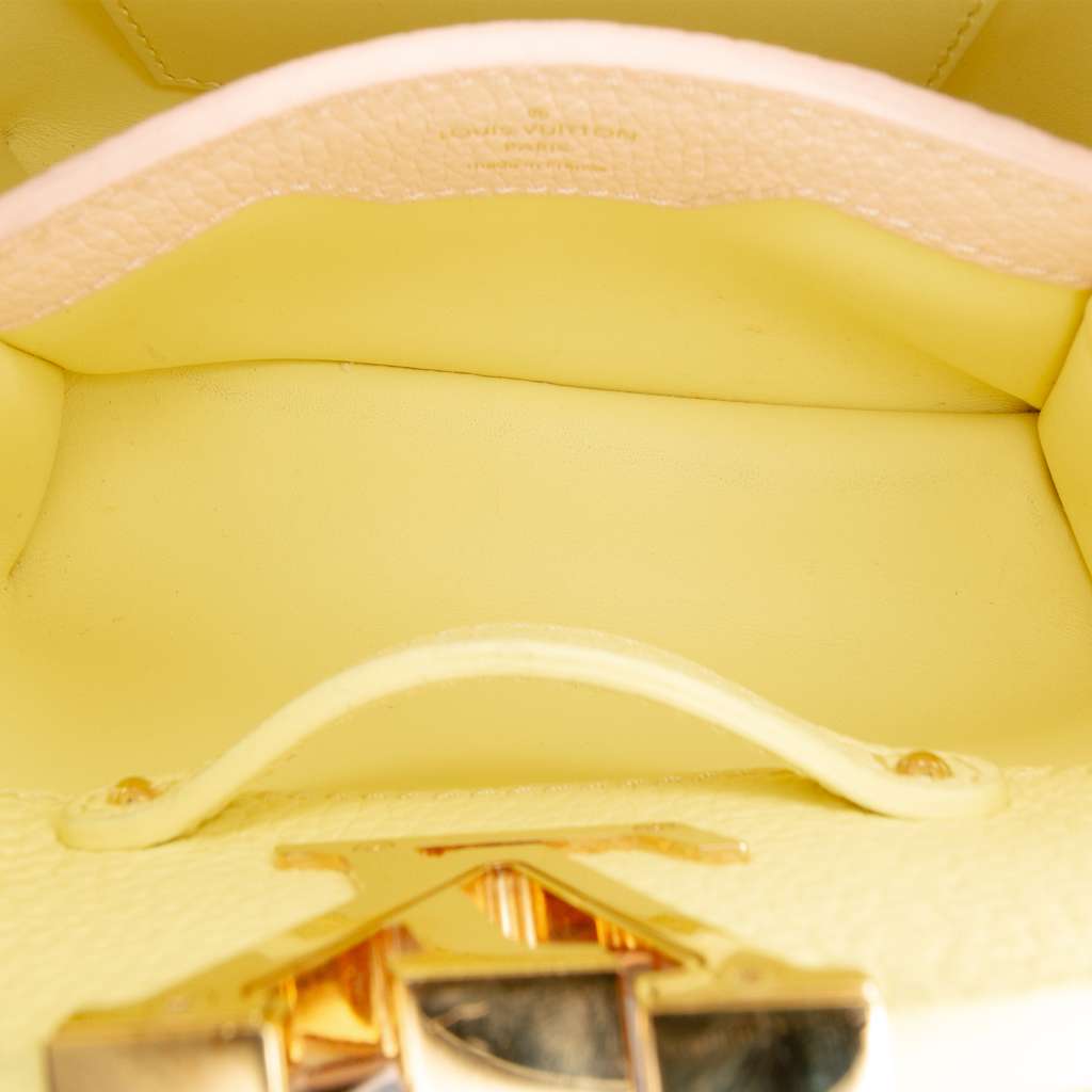 Louis Vuitton Taurillon Mini Capucines - 4