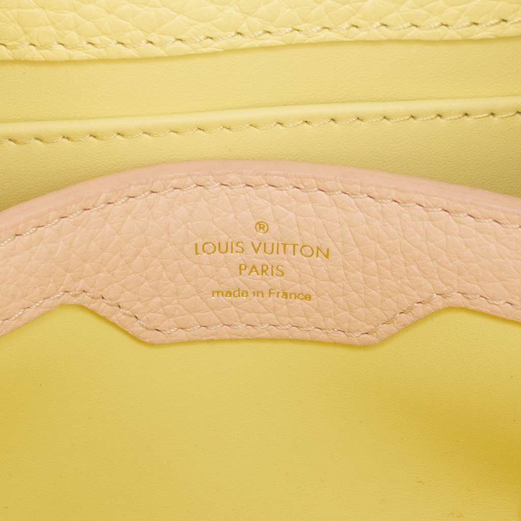 Louis Vuitton Taurillon Mini Capucines - 5