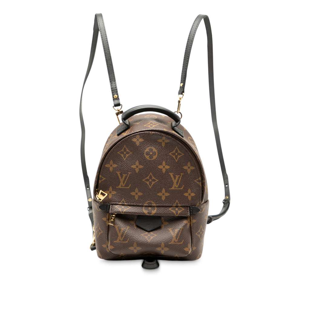 Louis Vuitton Monogram Mini Palm Springs