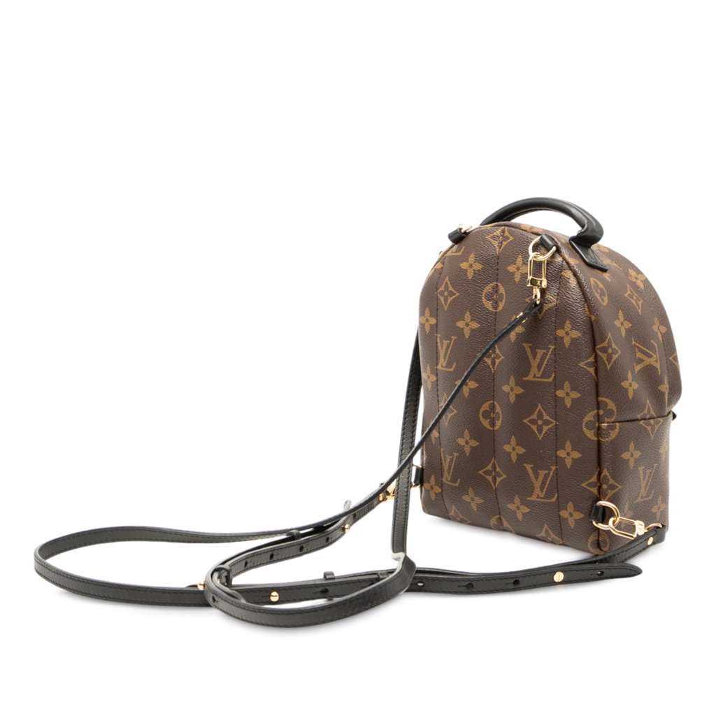Louis Vuitton Monogram Mini Palm Springs - 2