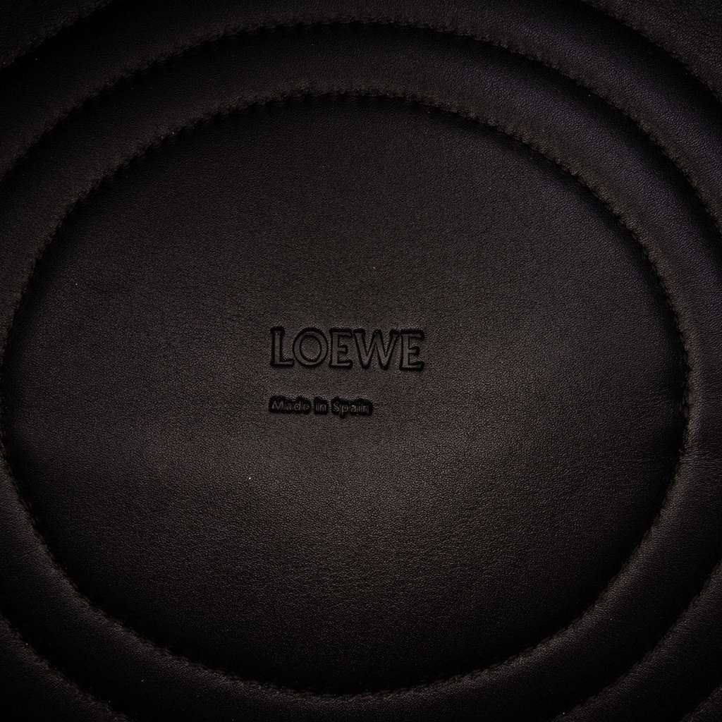 Loewe XL Shiny Calfskin and Canvas Paseo Satchel - 5