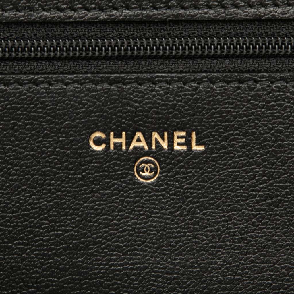 Chanel CC Studded Goatskin Wallet On Chain - 5