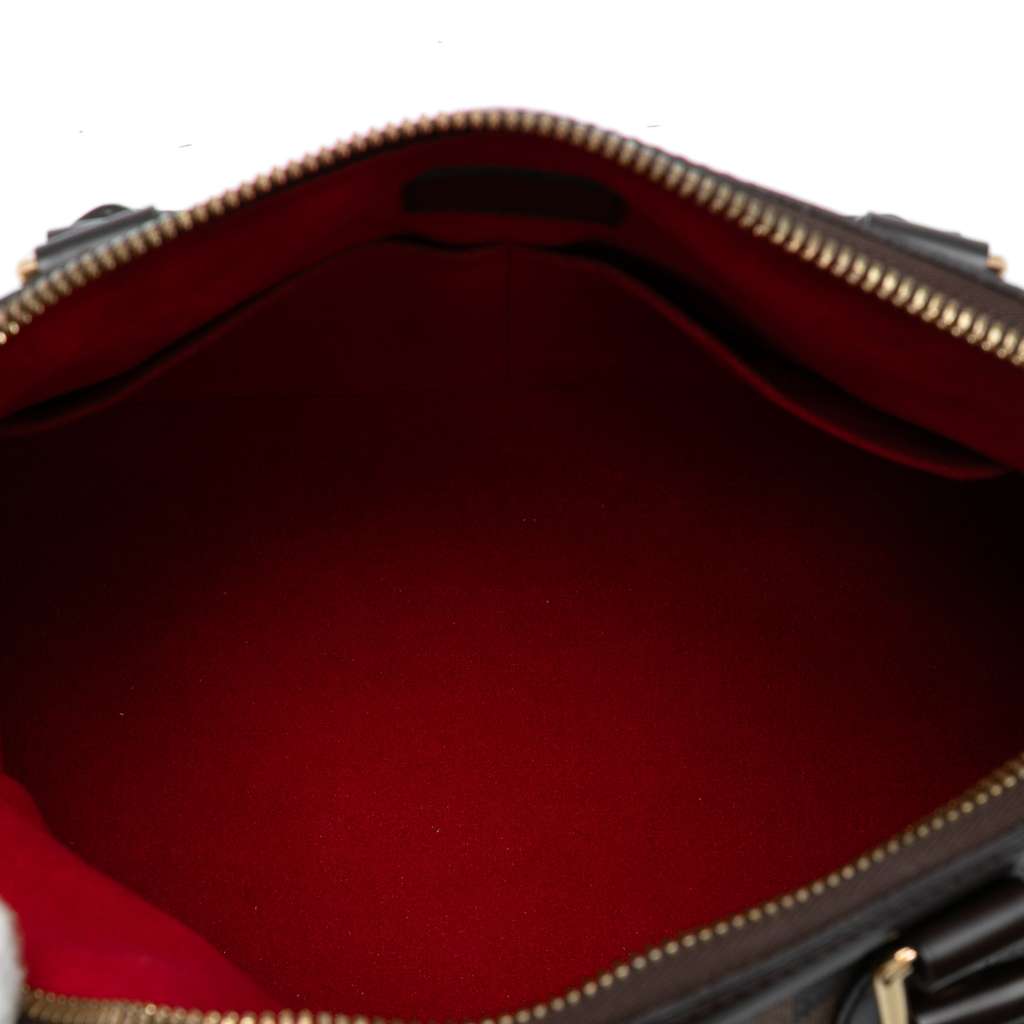 Louis Vuitton Damier Ebene Trevi PM - 4