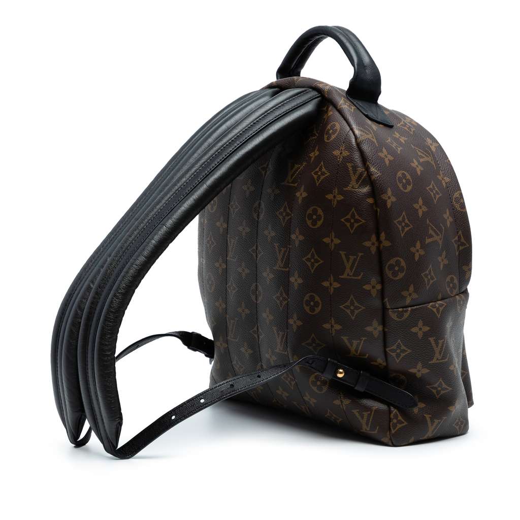 Louis Vuitton Monogram Palm Springs MM - 2