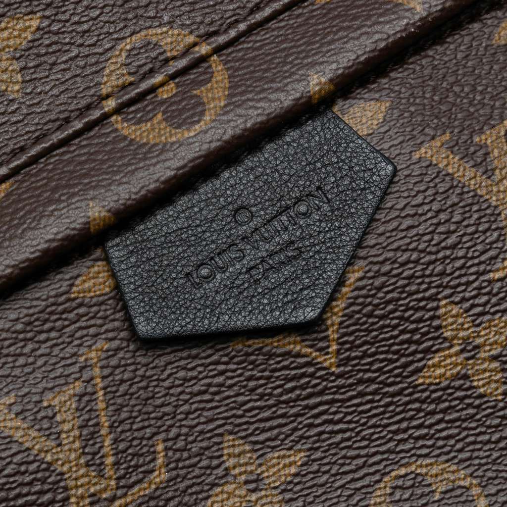 Louis Vuitton Monogram Palm Springs MM - 5