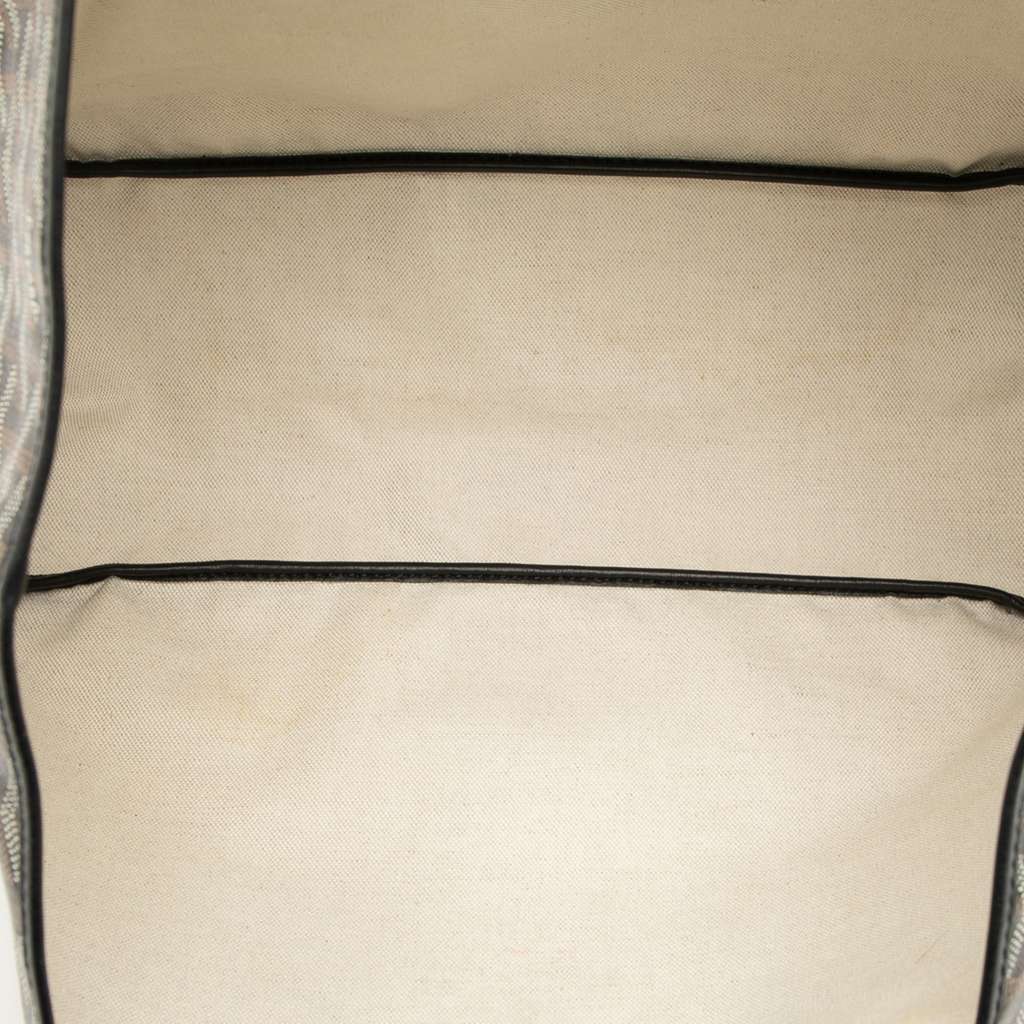 Goyard Limited Edition Goyardine Saint Louis Stripe PM - 4