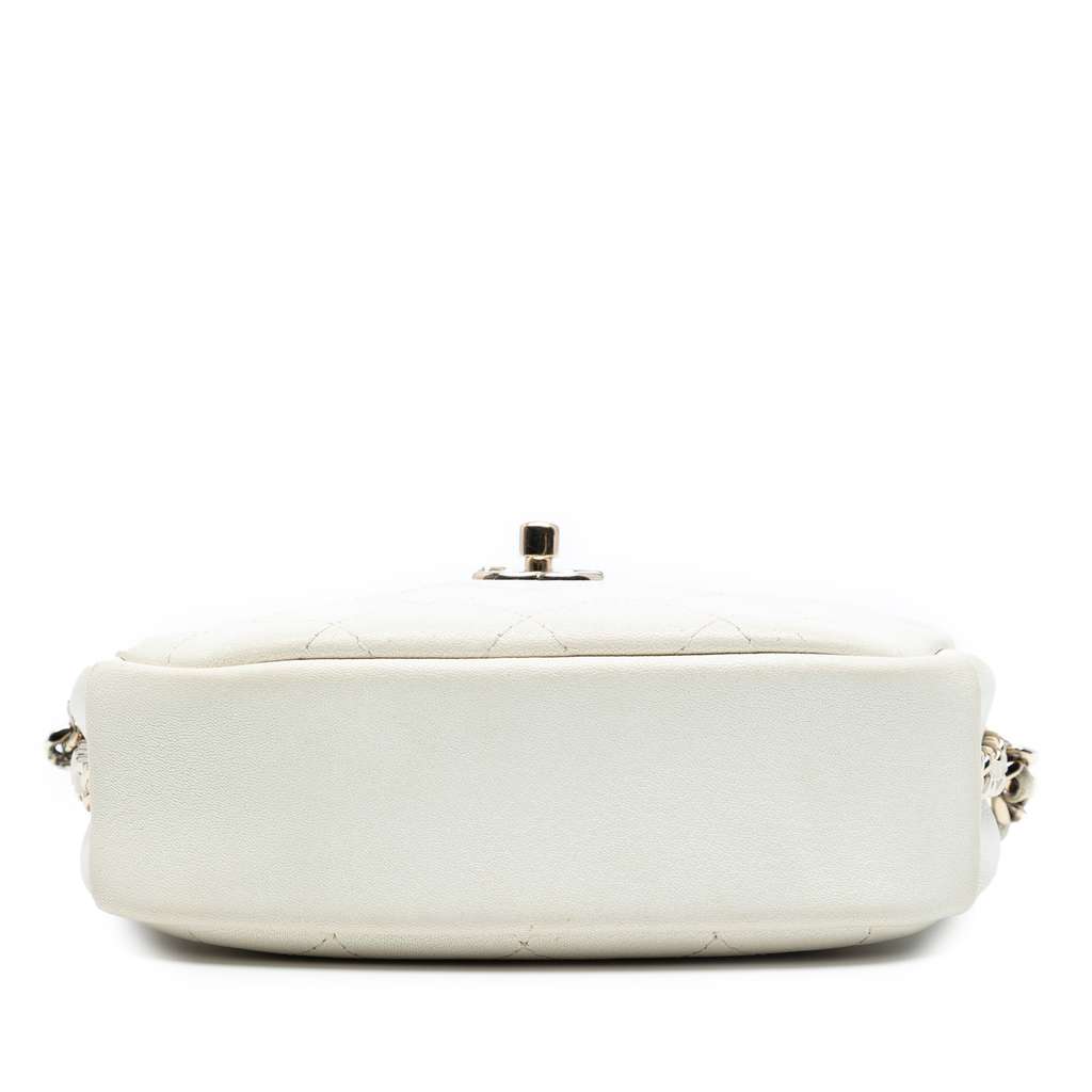 Chanel Small Quilted Goatskin Casual Trip Camera Bag - 3