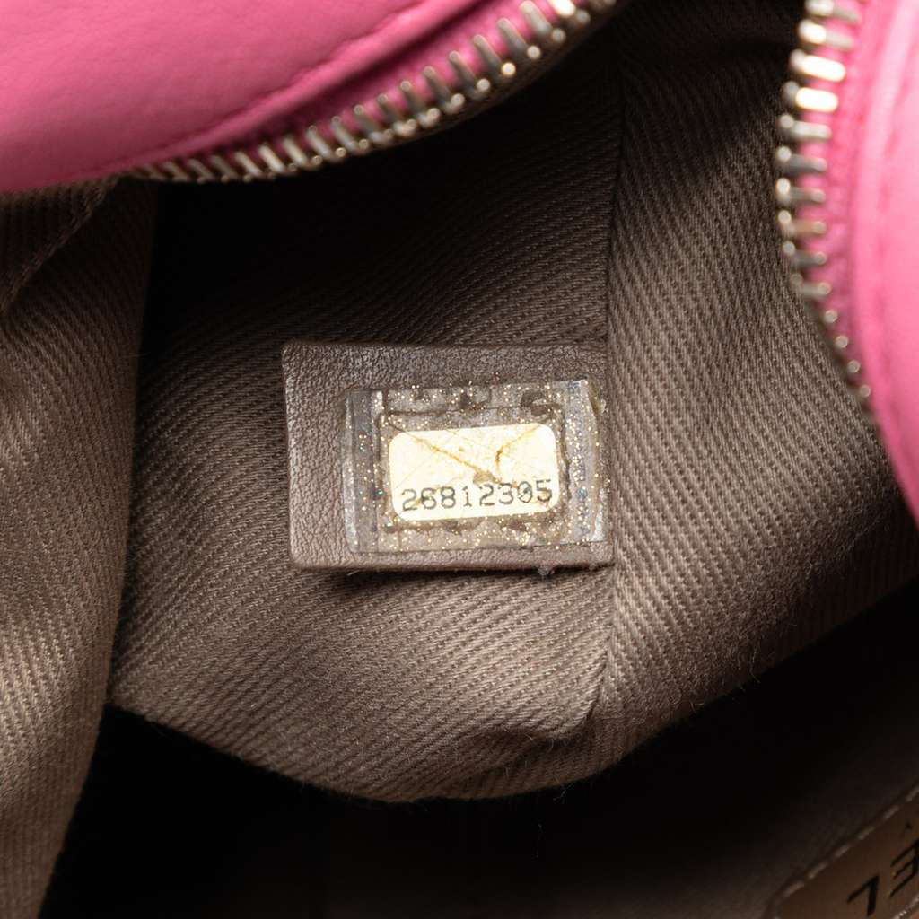 Chanel Stitched Goatskin Casual Trip North South Camera Case - 5