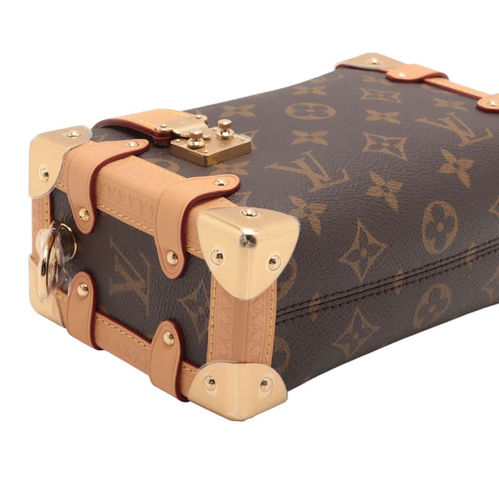 Louis Vuitton Monogram Side Trunk PM - 5