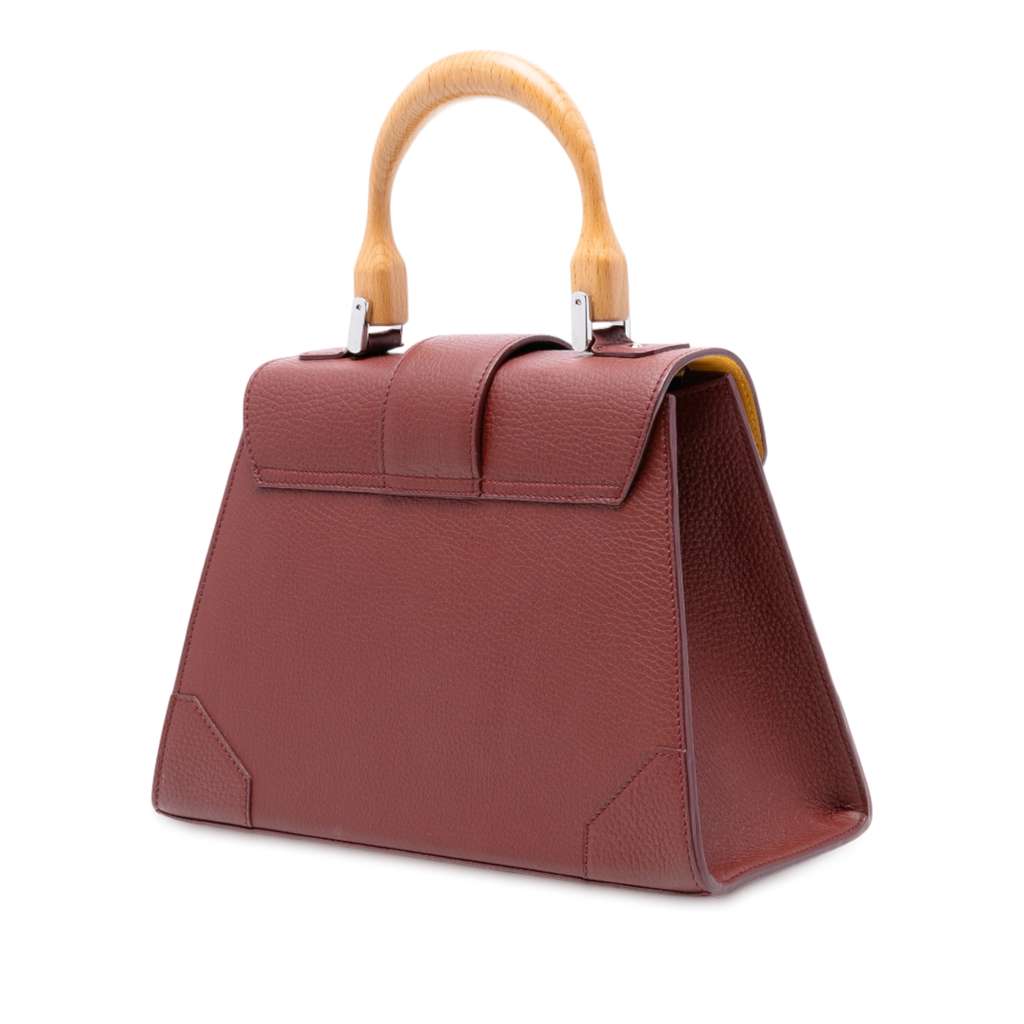 Goyard Leather Saigon Structured PM - 2