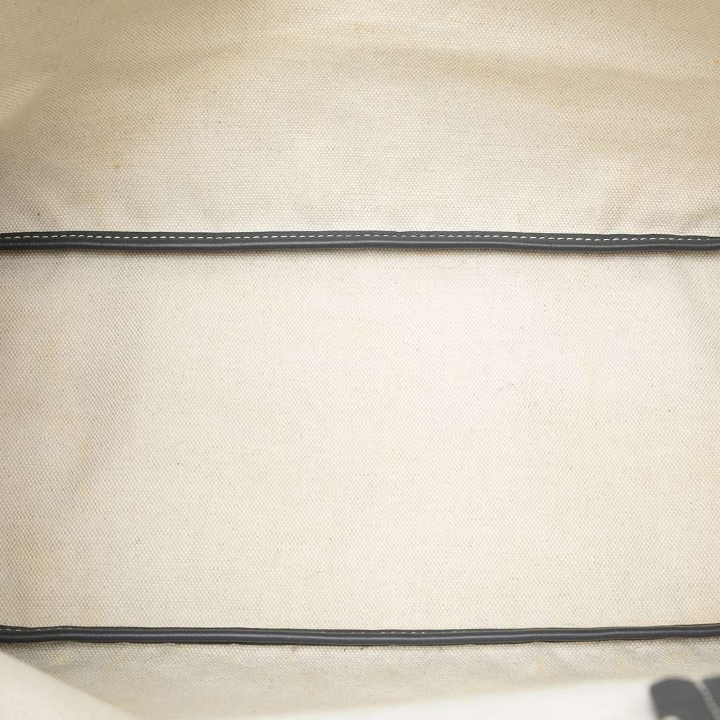 Goyard Goyardine Saint Louis PM - 4