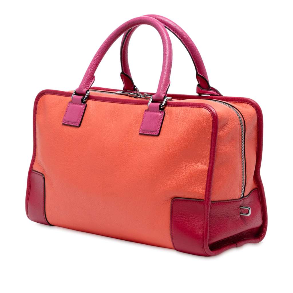 Loewe Tricolor Leather Amazona 36 - 2