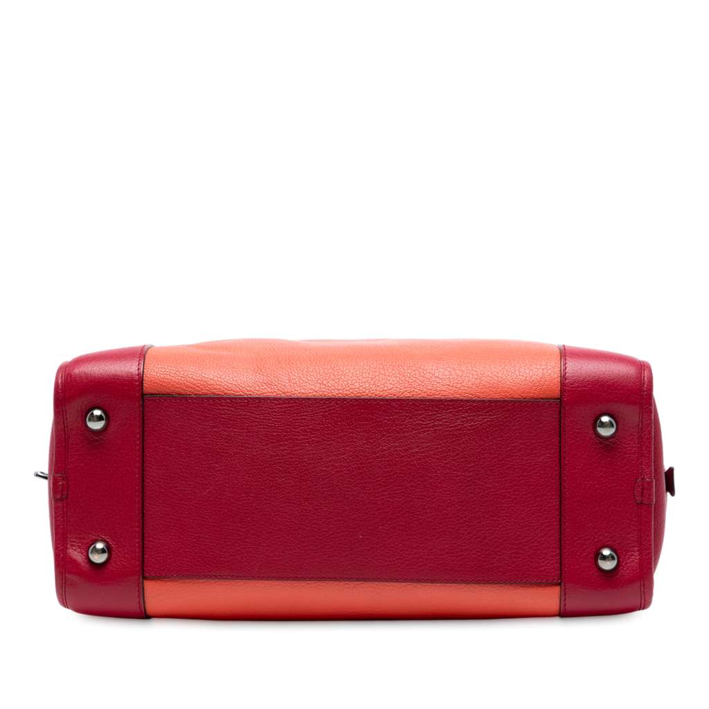 Loewe Tricolor Leather Amazona 36 - 3