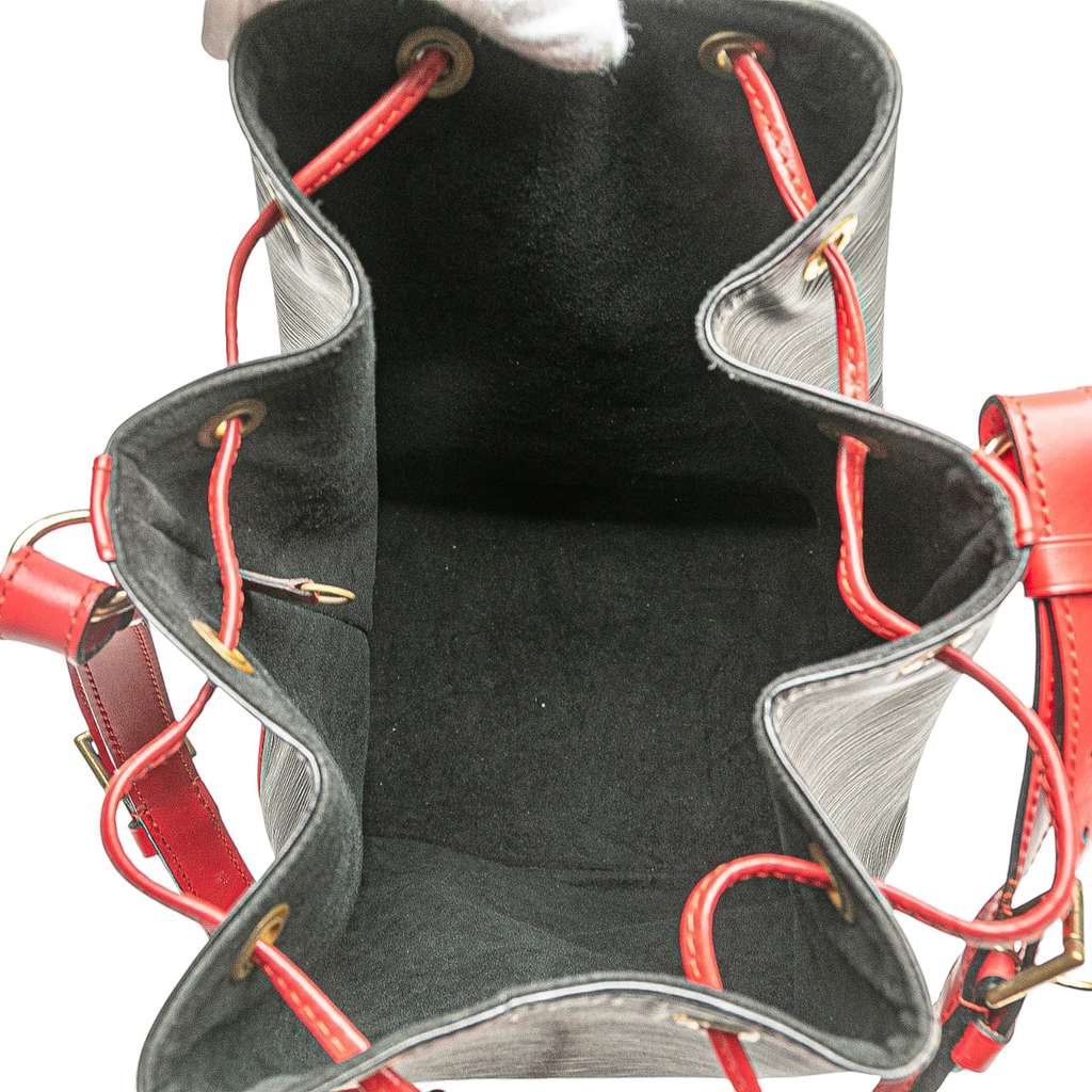 Louis Vuitton Epi Bicolor Noe GM - 4