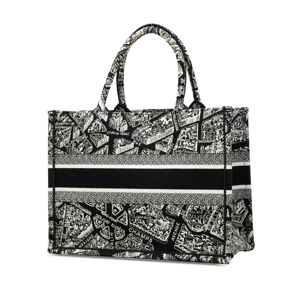 Dior Medium Canvas Embroidered Plan De Paris Book Tote - 2