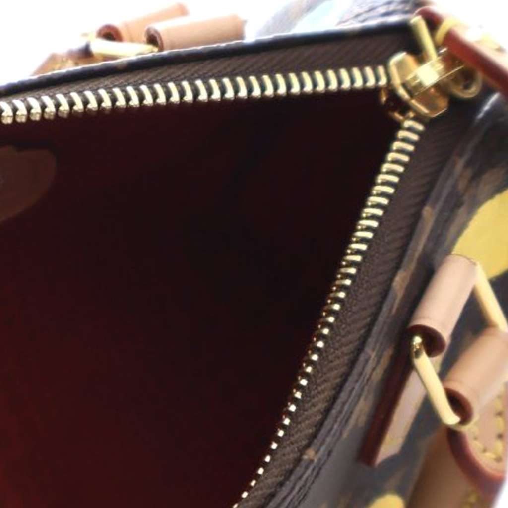 Louis Vuitton Yayoi Kusama Monogram Nano Speedy Bandouliere - 4