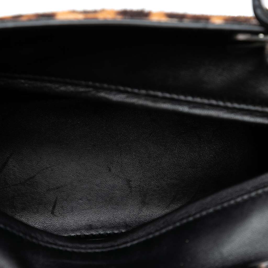 Dior Medium Pony Hair Leopard Print Lady Dior - 4