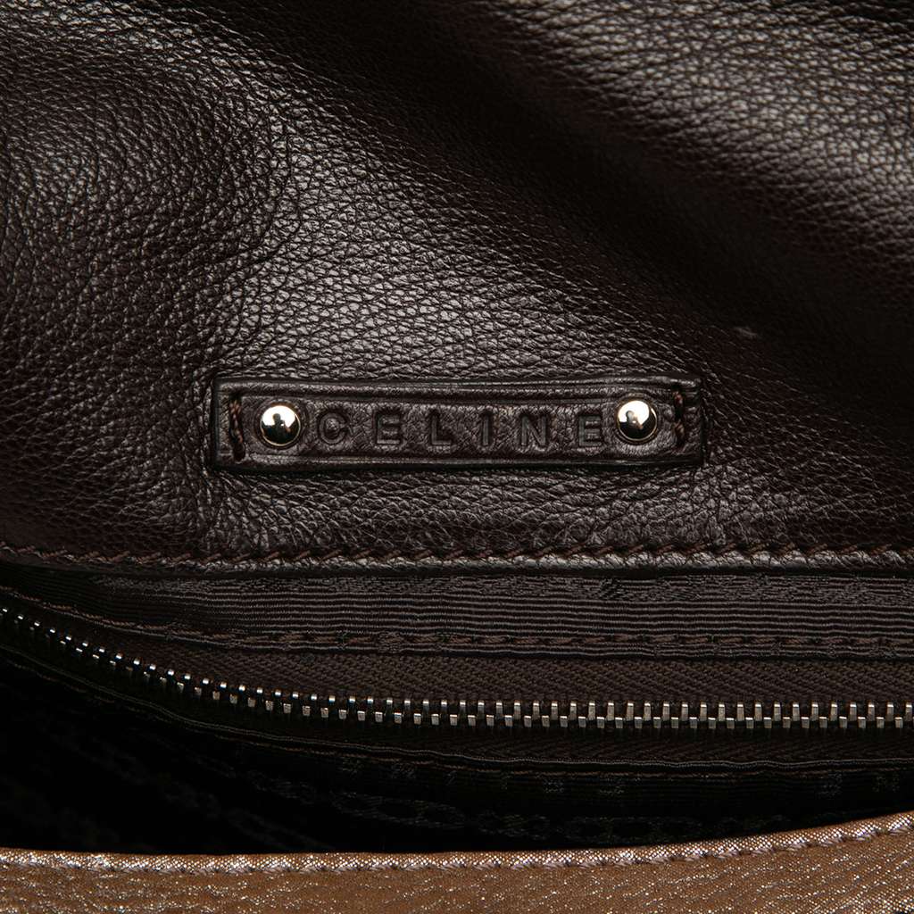 Celine Shimmer Leather Front Flap Shoulder Bag - 5