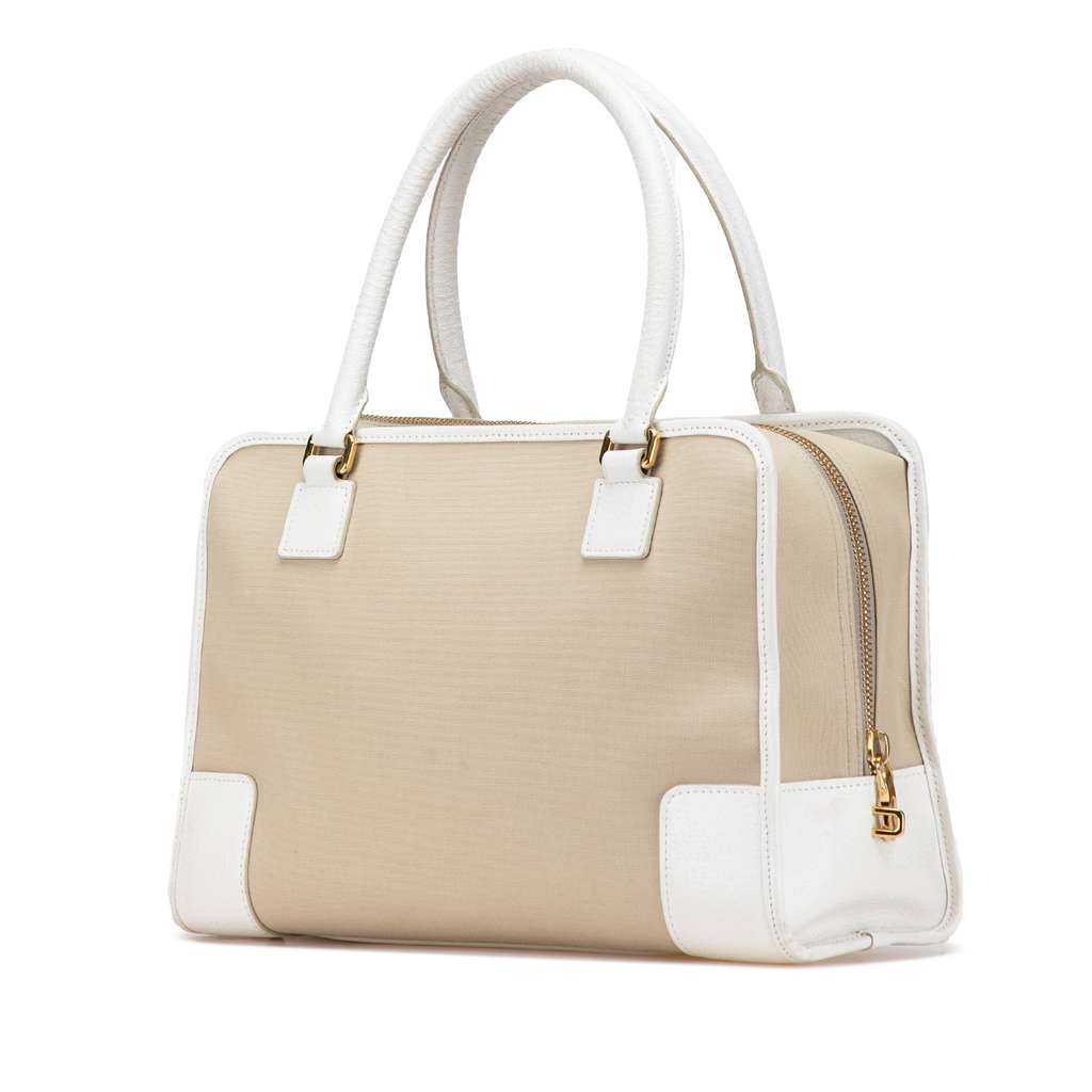 Loewe Canvas Amazona 36 - 2