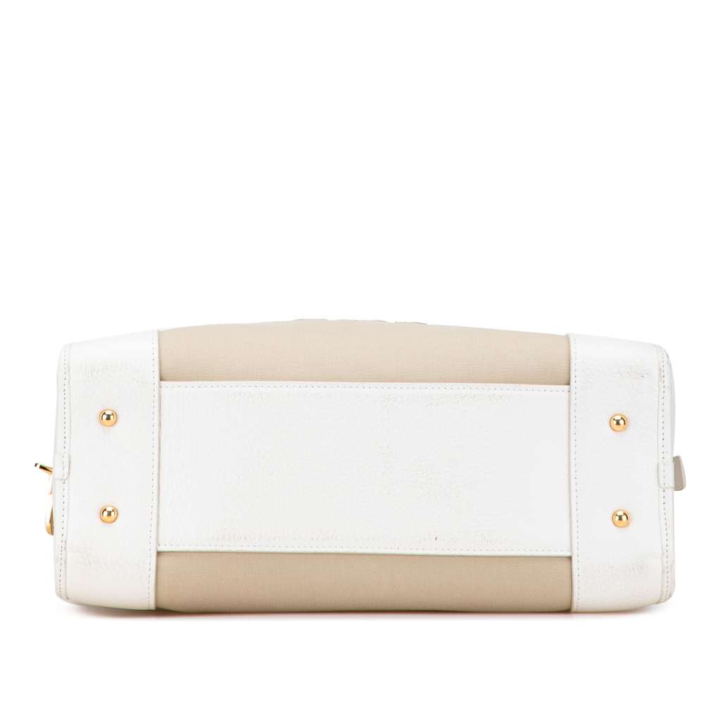 Loewe Canvas Amazona 36 - 3