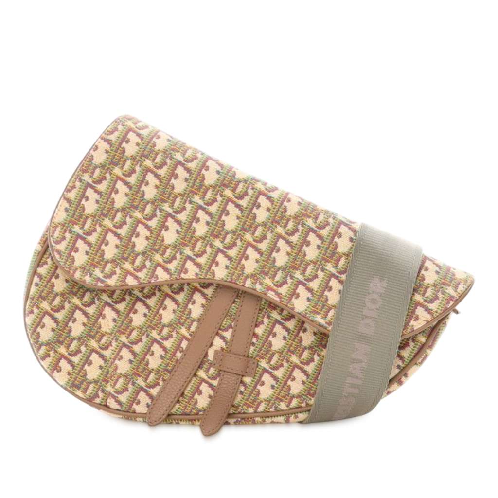 Dior Multicolor Oblique Canvas Saddle Crossbody