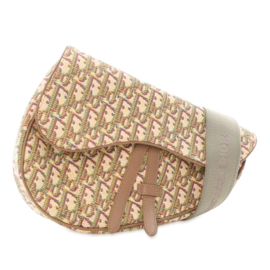 Dior Multicolor Oblique Canvas Saddle Crossbody - 2