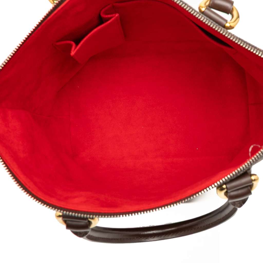 Louis Vuitton Damier Ebene Saleya PM - 4