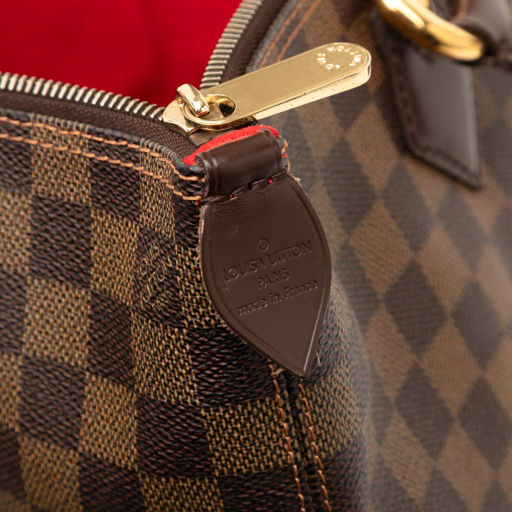 Louis Vuitton Damier Ebene Saleya PM - 5