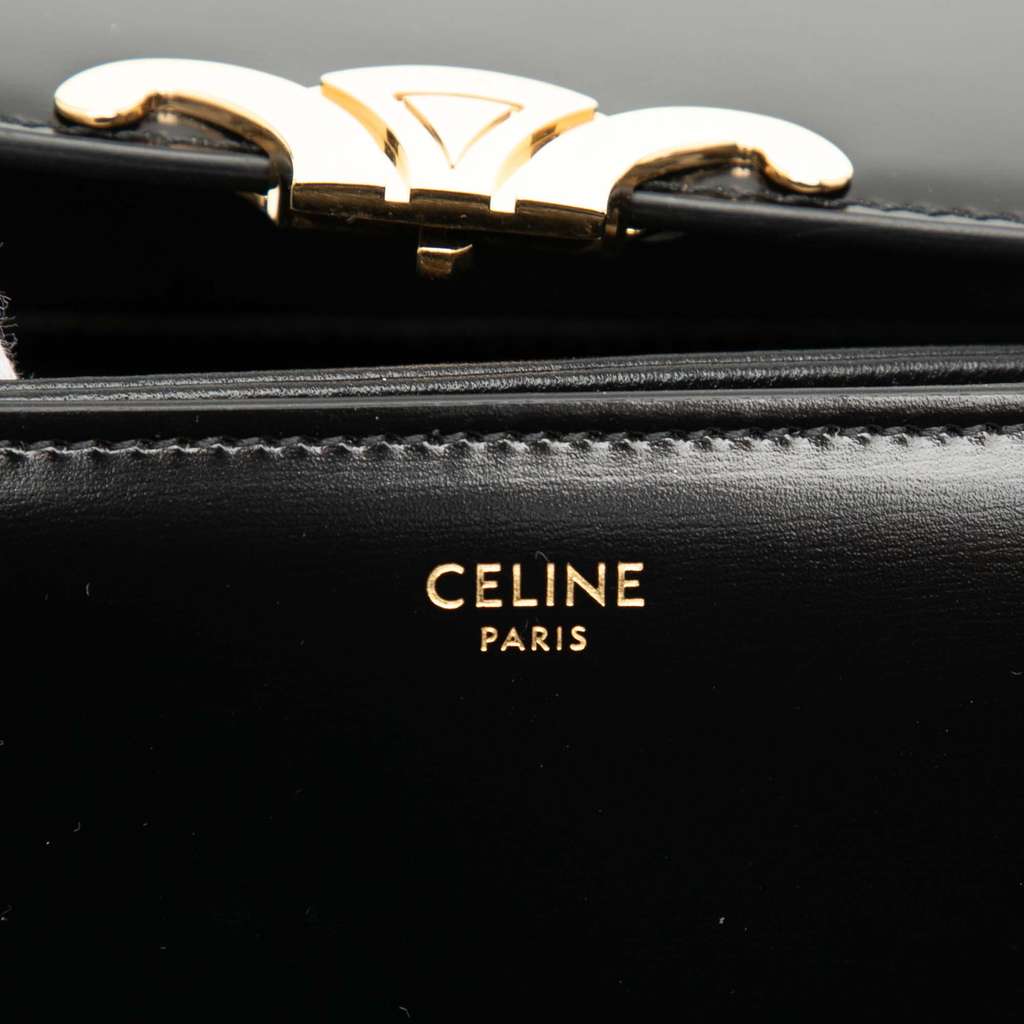 Celine Classique Shiny Calfskin Triomphe Crossbody - 5