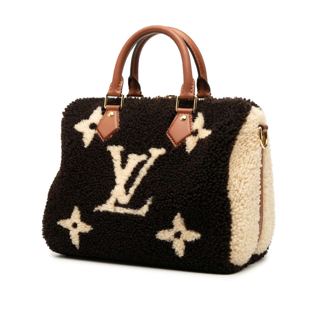 Louis Vuitton Monogram Giant Shearling Teddy Speedy Bandouliere 25 - 2