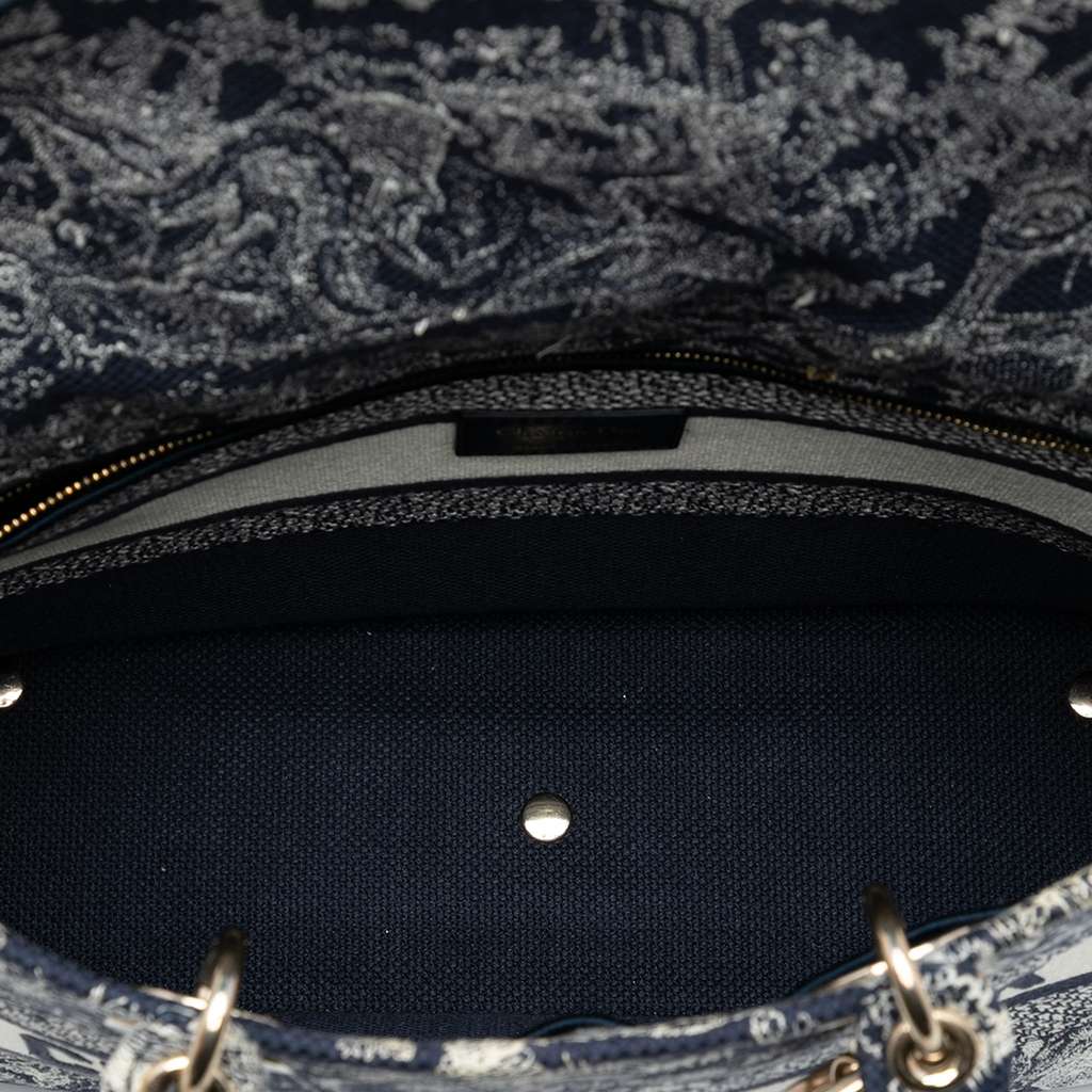 Dior Large Embroidered Canvas Toile de Jouy Lady D Lite - 4