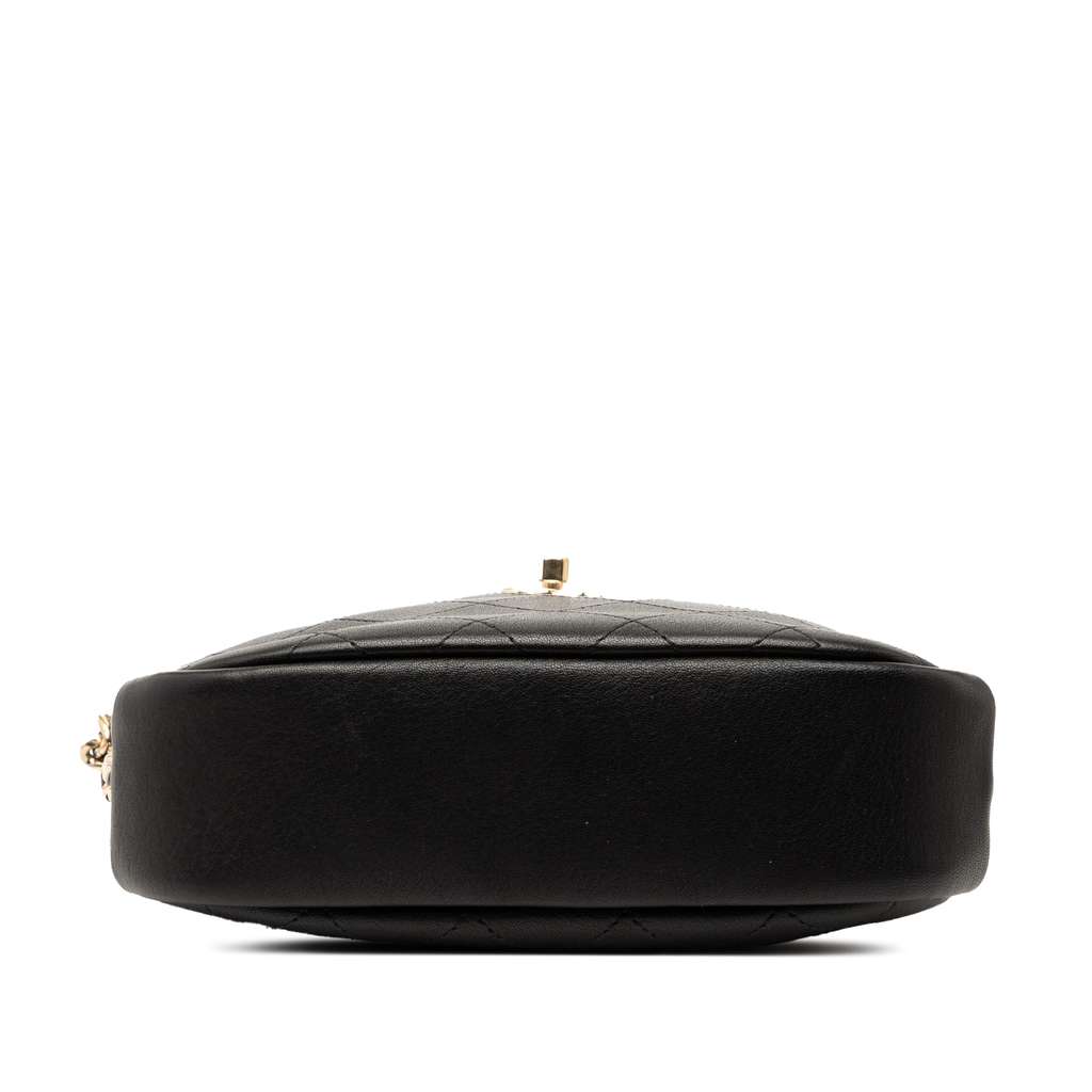 Chanel Medium Quilted Goatskin Casual Trip Camera Bag - 3