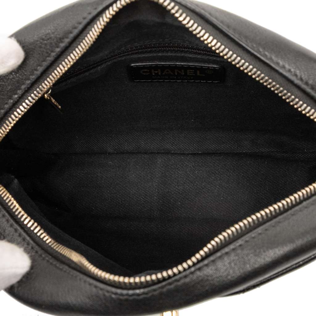 Chanel Medium Quilted Goatskin Casual Trip Camera Bag - 4