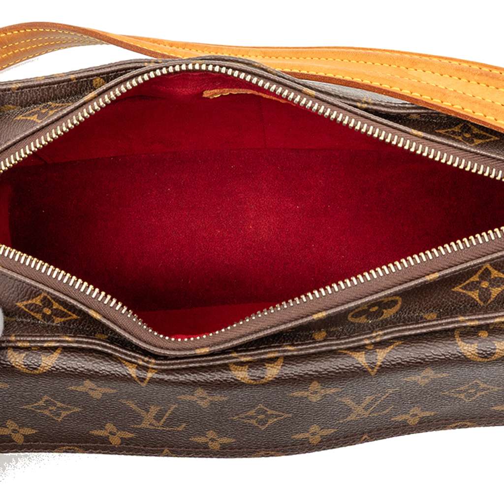 Louis Vuitton Monogram Viva Cite MM - 4