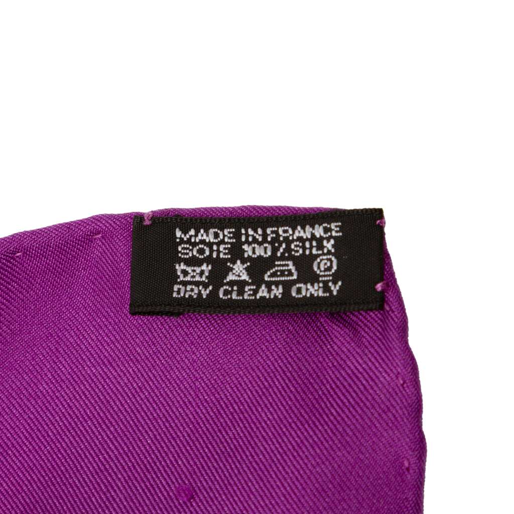 Hermès Par Mefsire Antoine De Plvvinel Silk Scarf 90 - 5