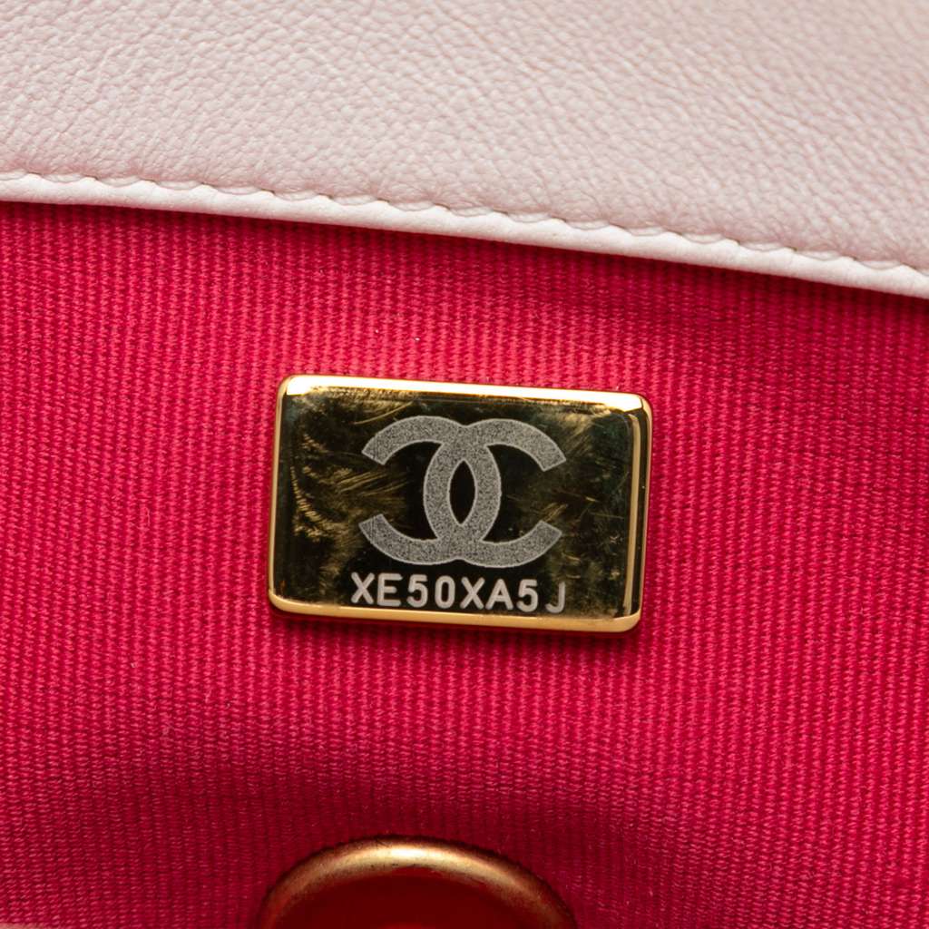 Chanel Small Quilted Lambskin Acrylic Coco Love Flap - 5