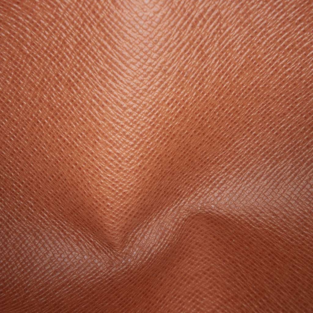 Louis Vuitton Monogram Papillon Pochette - 4