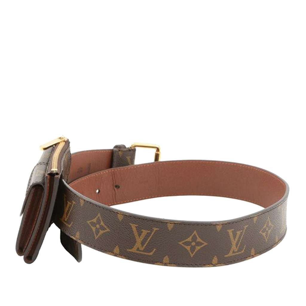 Louis Vuitton Monogram Pochette Duo Belt Bag - 2