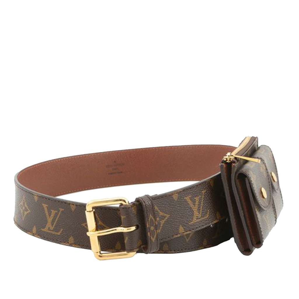 Louis Vuitton Monogram Pochette Duo Belt Bag - 3