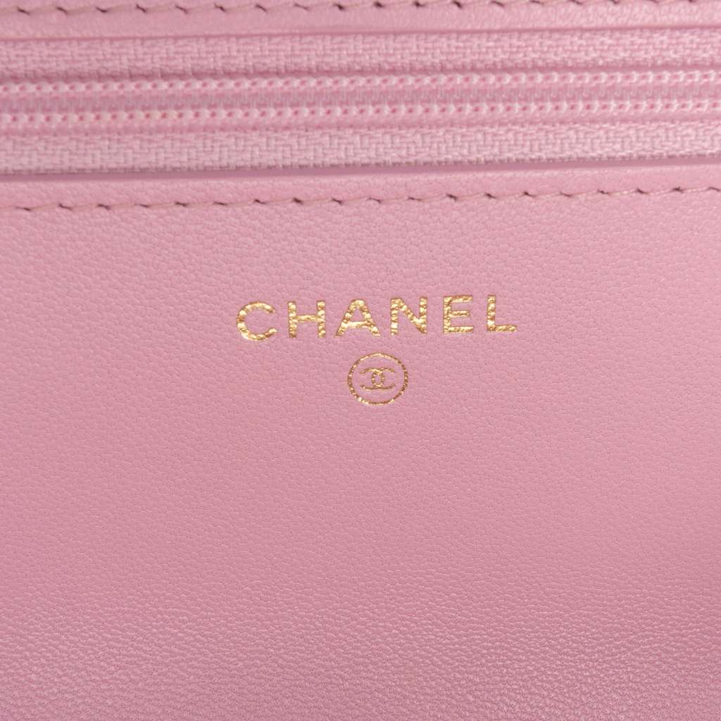 Chanel Quilted Lambskin 19 Wallet on Chain - 5