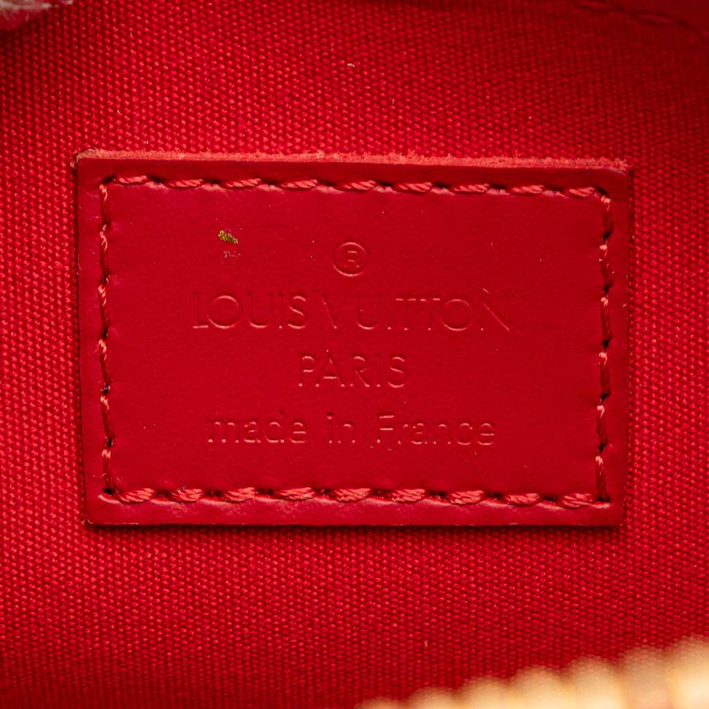 Louis Vuitton Epi Dhanura PM - 5