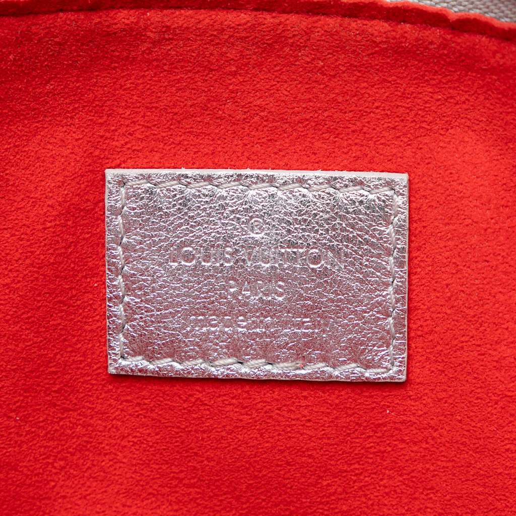 Louis Vuitton Monogram Embossed Puffy Lambskin Coussin PM - 4