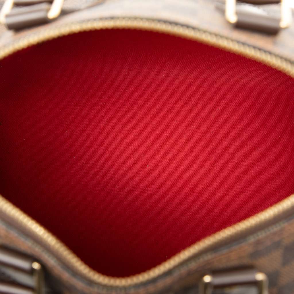 Louis Vuitton Damier Ebene Speedy 25 - 4