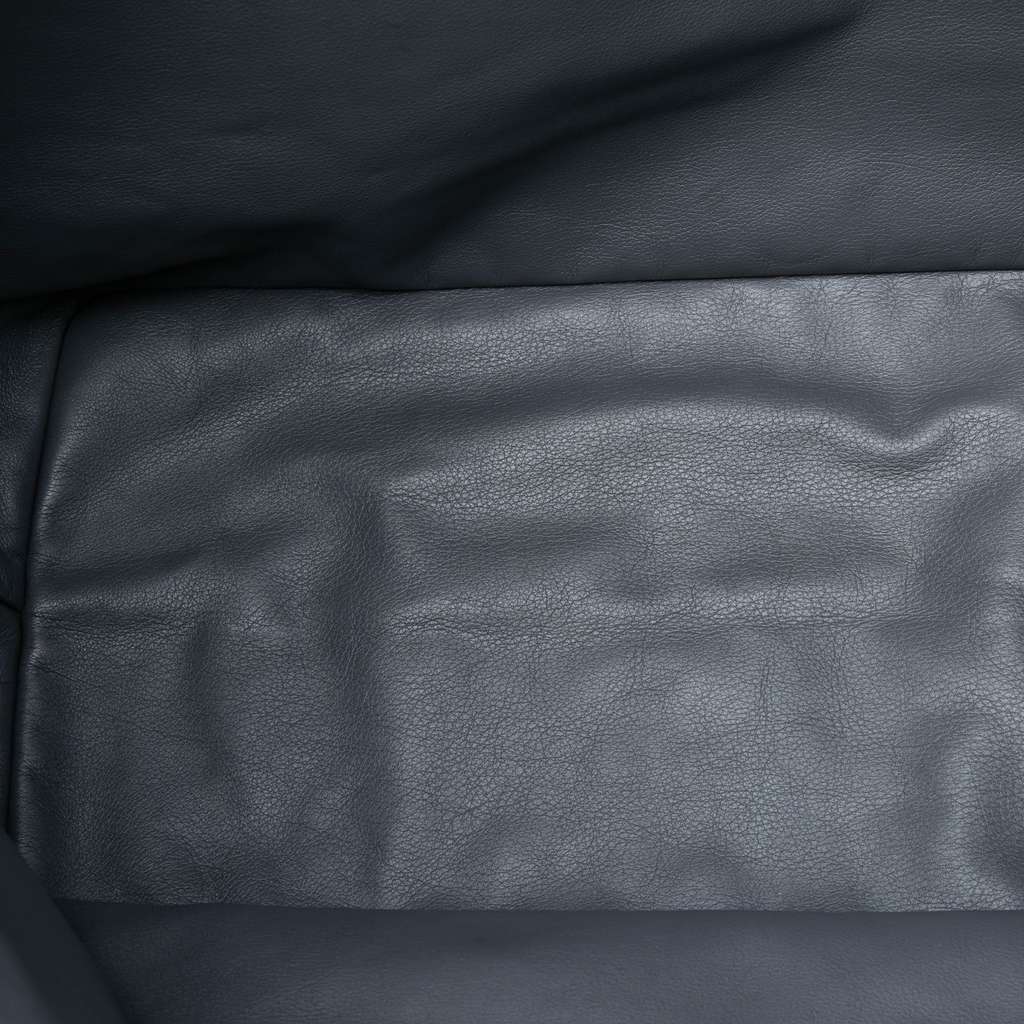 Goyard Goyardine Saint Louis GM - 4