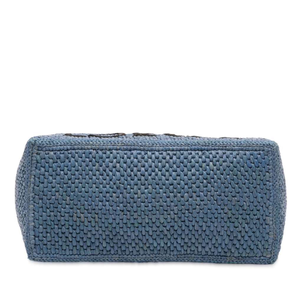 Loewe Medium Raffia Font Tote - 3