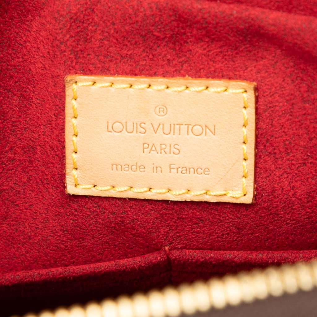 Louis Vuitton Monogram Multipli Cite - 5