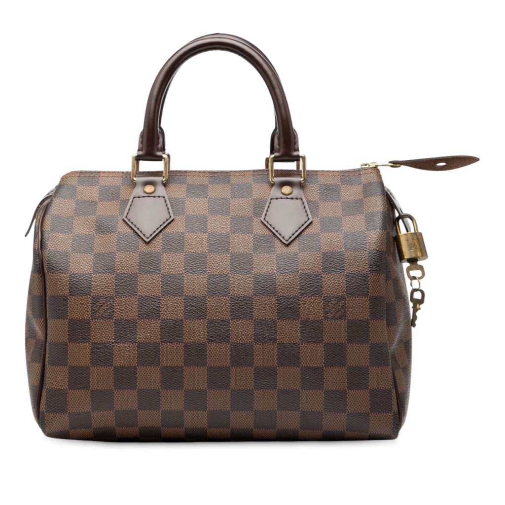 Louis Vuitton Damier Ebene Speedy 25