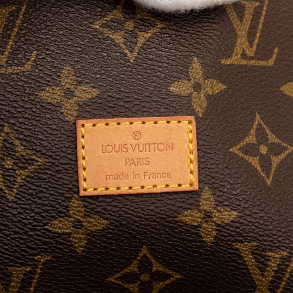 Louis Vuitton Monogram Saumur 30 - 5