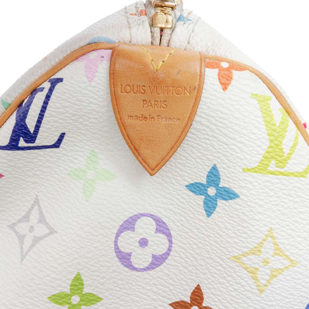 Louis Vuitton Monogram Multicolore Speedy 30 - 5